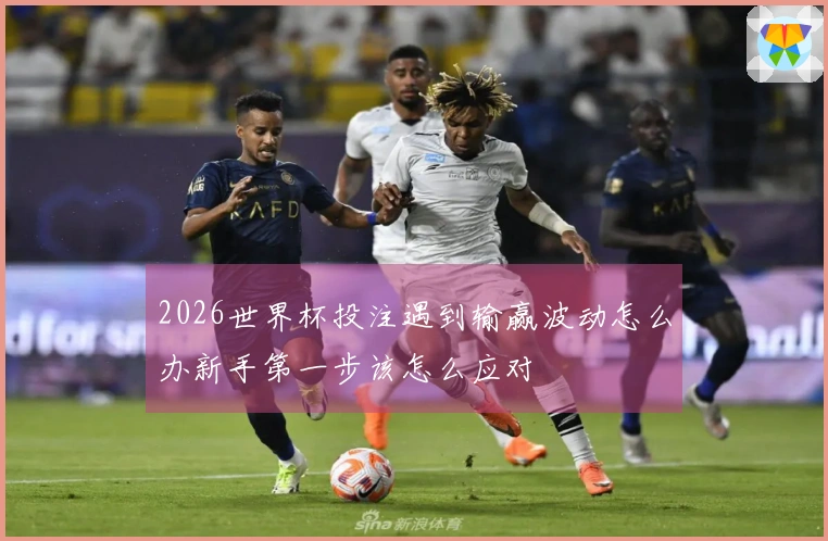 2026世界杯投注遇到输赢波动怎么办新手第一步该怎么应对